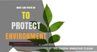 Empowering Youth: Practical Steps to Protect Our Environment Today