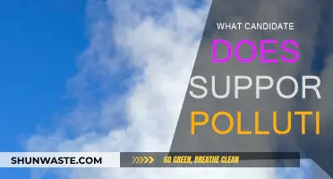 Who Backs Pollution? Candidate Support for a Dirty Future