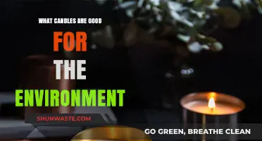 Eco-Friendly Candles: Sustainable Choices for a Greener Home