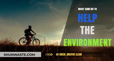 Simple Eco-Friendly Actions: How You Can Help Save the Environment