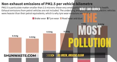 Unveiling the Smog-Generating Car: A Comprehensive Analysis