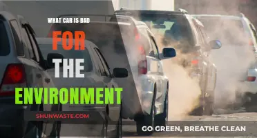Worst Eco-Offenders: Cars with the Highest Environmental Impact Revealed