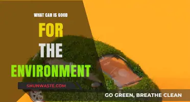 Eco-Friendly Driving: Top Green Cars for a Sustainable Future