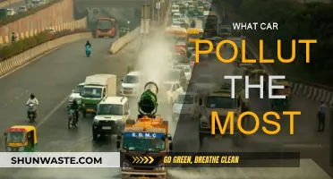 Which Cars Emit the Most Pollution?