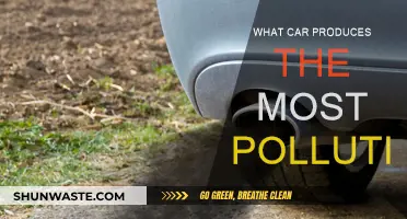 Which Car Model is the Most Polluting?