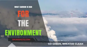 Carbon's Environmental Impact: Understanding Its Harmful Effects on Our Planet