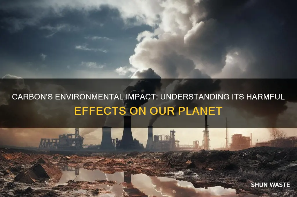 what carbon is bad for the environment