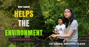 Eco-Friendly Careers: Paths to Protect and Preserve Our Planet