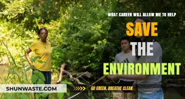 Eco-Friendly Careers: Paths to Protect and Preserve Our Planet