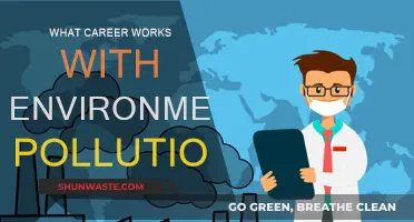 Green Career Paths: Fighting Environmental Pollution