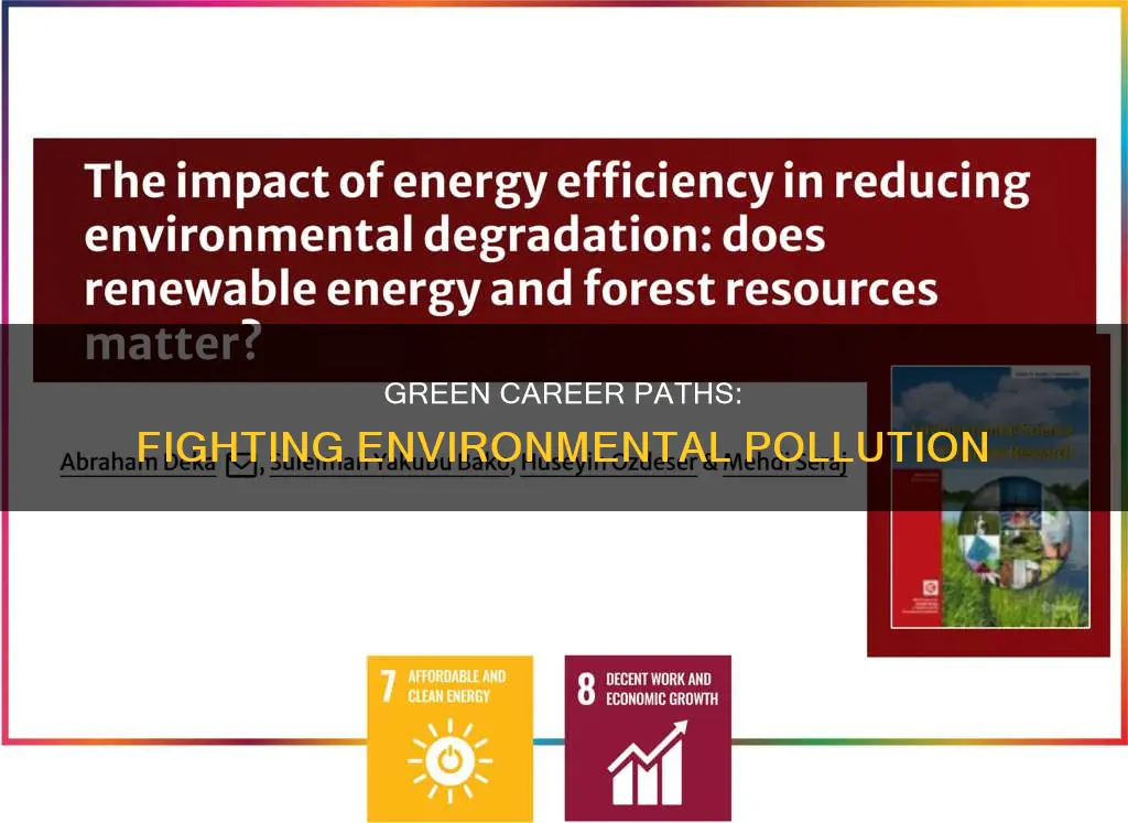 what career works with environmental pollution