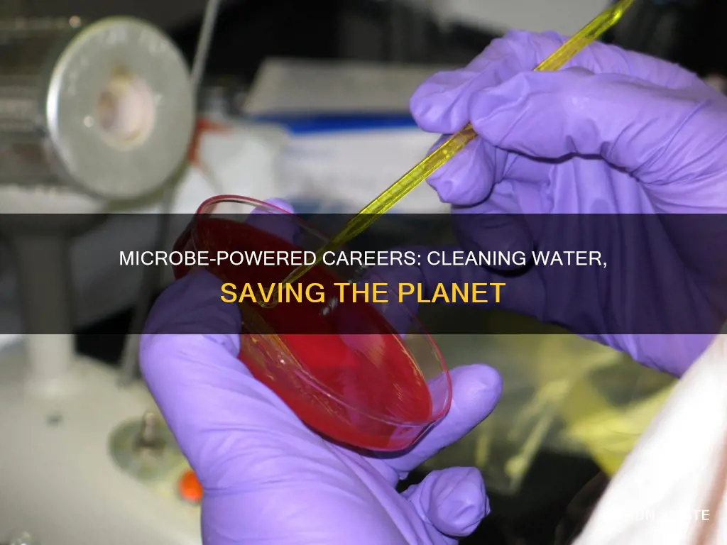 what career would use microorganisms to remove pollutants from water