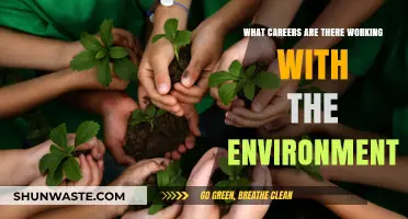 Exploring Diverse Careers in Environmental Conservation and Sustainability