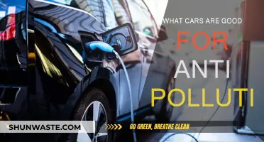 Eco-friendly Cars: Reducing Pollution, Improving Air Quality