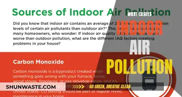 Sources of Indoor Air Pollution Revealed