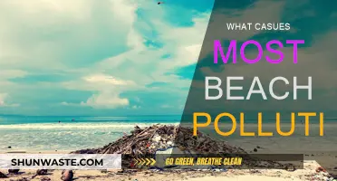Beach Pollution: Understanding the Causes and Impacts