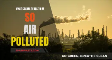 Texas Air Pollution: Causes and Concerns