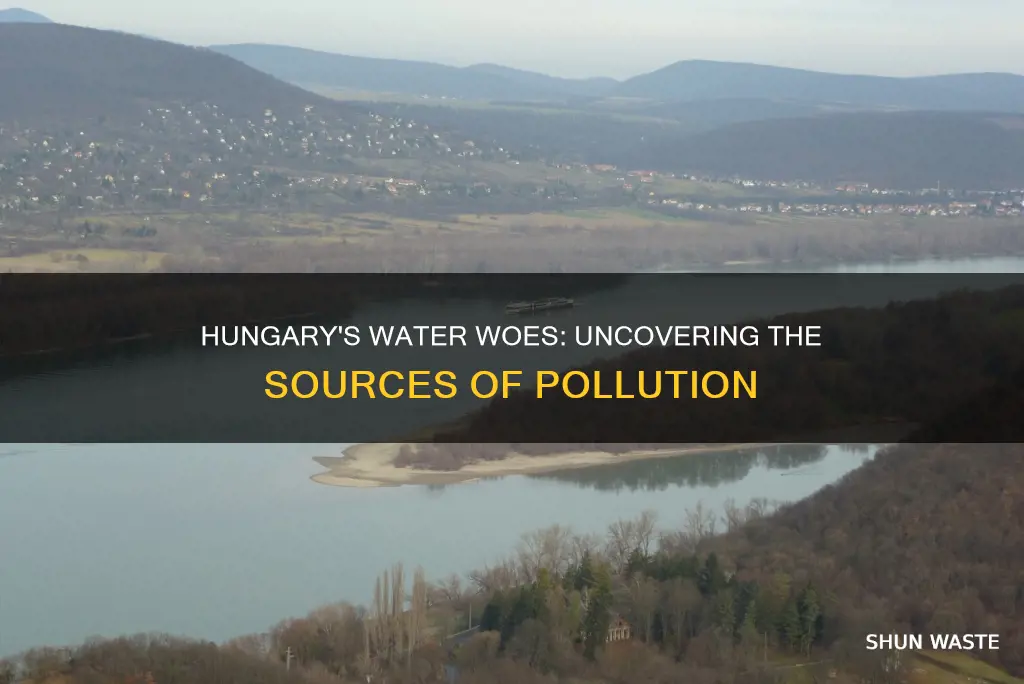 what casues water pollution in hungary