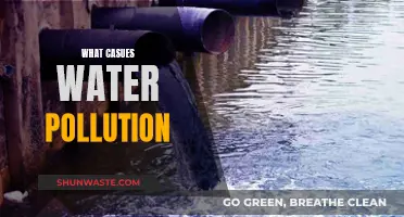 Unveiling the Hidden Causes of Water Pollution: A Comprehensive Guide