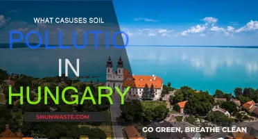 Hungarian Soil Pollution: Understanding the Root Causes