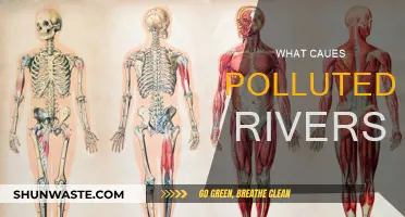 Industrial Waste and River Pollution