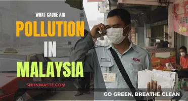 Unveiling Malaysia's Air Pollution: Sources and Solutions