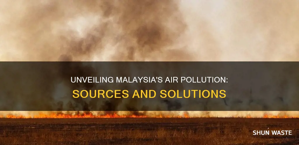 what cause air pollution in malaysia