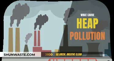 Unveiling the Hidden Causes of Heap Pollution: A Comprehensive Guide