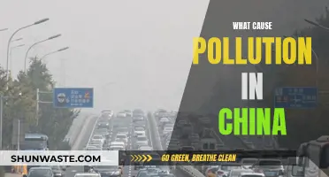 Unveiling China's Pollution Crisis: Sources and Solutions