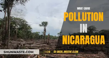 Nicaragua's Pollution Crisis: Unraveling the Complex Web of Causes