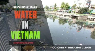 Unveiling Vietnam's Water Pollution: Sources and Solutions