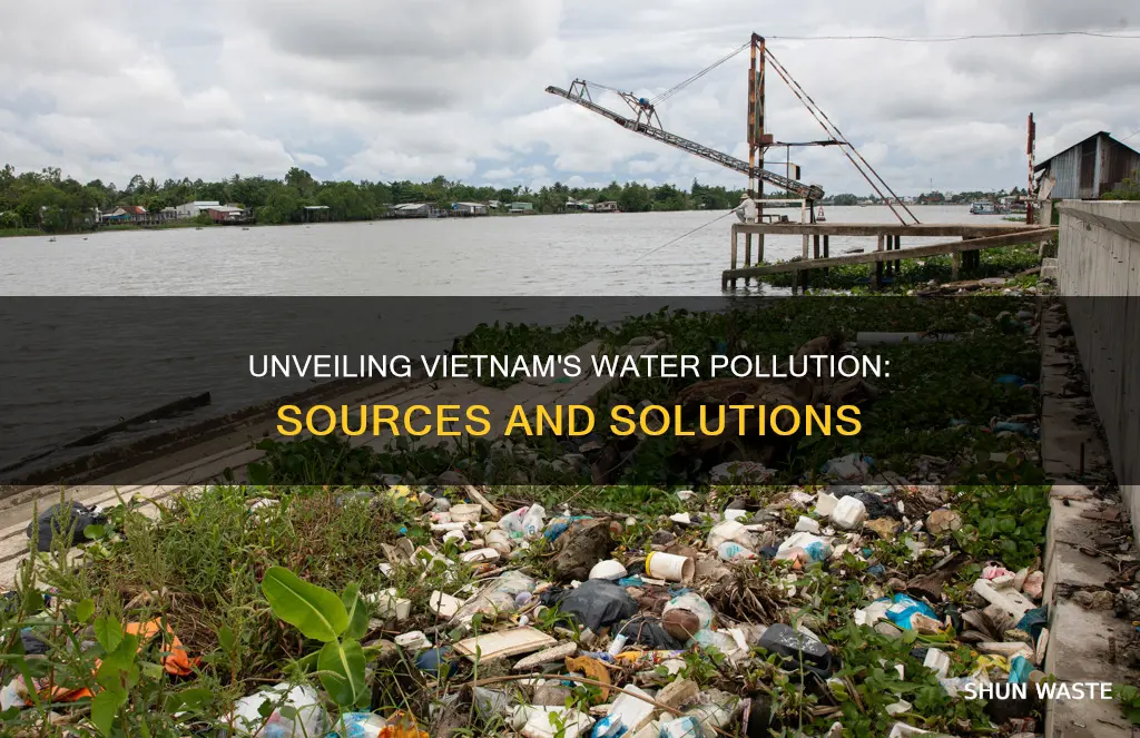 what cause pollution in water in vietnam