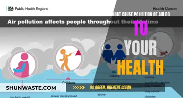 Unveiling the Hidden Dangers: Air Pollution's Impact on Your Health