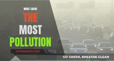 Unveiling the Hidden Culprits: Top Sources of Pollution