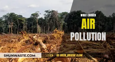 Air Pollution: Causes and Effects