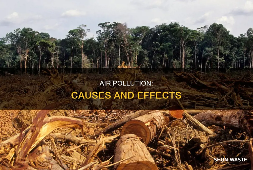 what caused air pollution