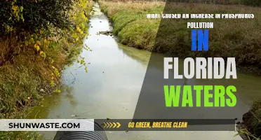 Phosphorus Pollution Mystery: Unraveling Florida's Water Crisis