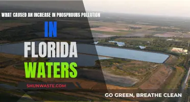 Phosphorus Pollution in Florida: Unraveling the Causes and Solutions