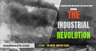 Industrial Revolution's Dark Secret: Unveiling the Pollution Crisis