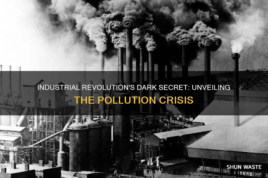 what caused an increase in pollution during the industrial revolution