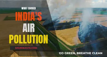 Unraveling India's Air Pollution Crisis: A Complex Web of Causes