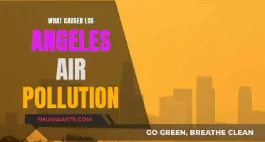 Unveiling LA's Air Pollution: Sources and Solutions