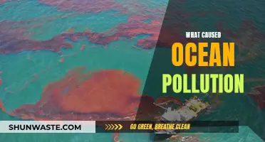 Unveiling the Origins: Ocean Pollution's Complex Causes