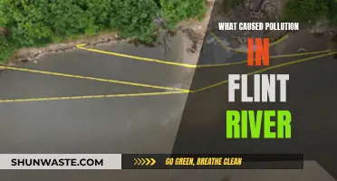 Flint River's Pollution: A Tale of Industrial Neglect and Environmental Justice