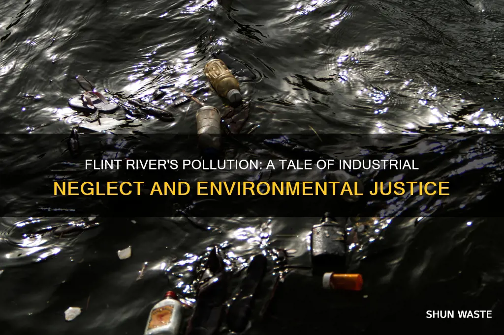 what caused pollution in flint river