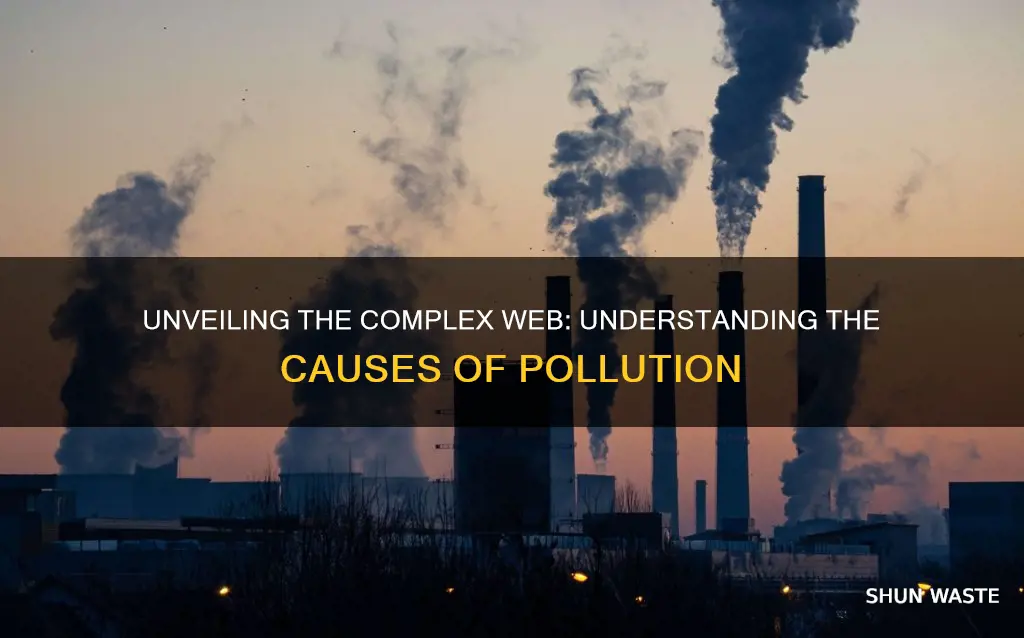 what caused pollution