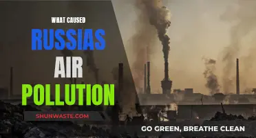 Unveiling Russia's Air Pollution Crisis: Causes and Solutions