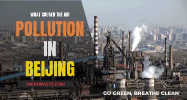 Unveiling Beijing's Air Pollution Mystery: A Complex Tale of Industrial and Natural Factors