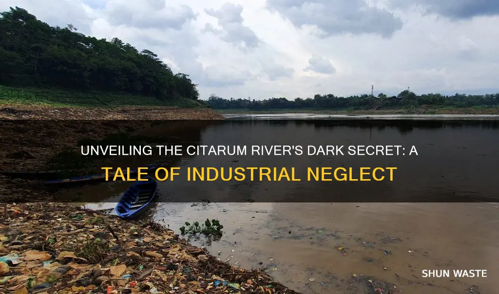 what caused the citarum river pollution