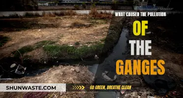 Unveiling the Ganges' Pollution: A Complex Web of Human and Industrial Factors